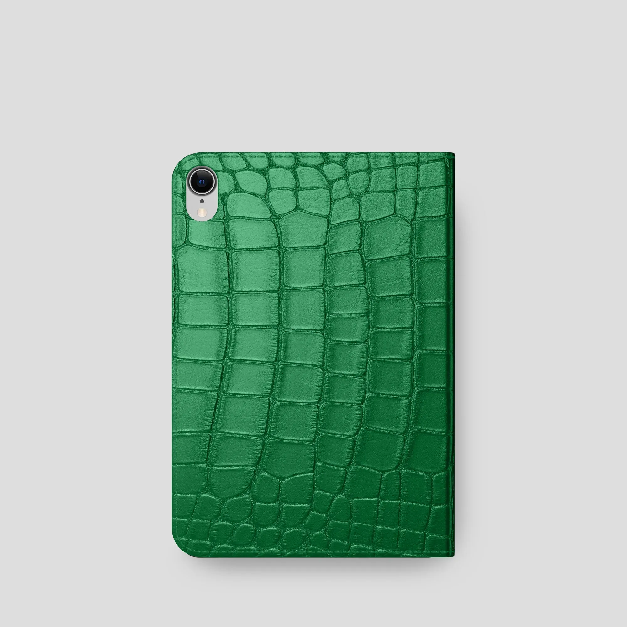 Folio Case For iPad mini (6th gen) In Alligator