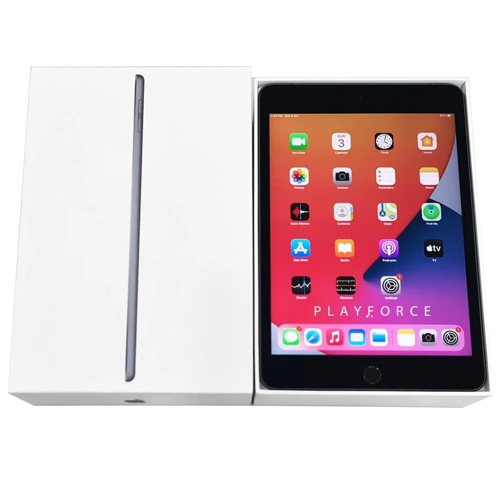 iPad Mini 5 (256GB, Cellular, Space Grey)