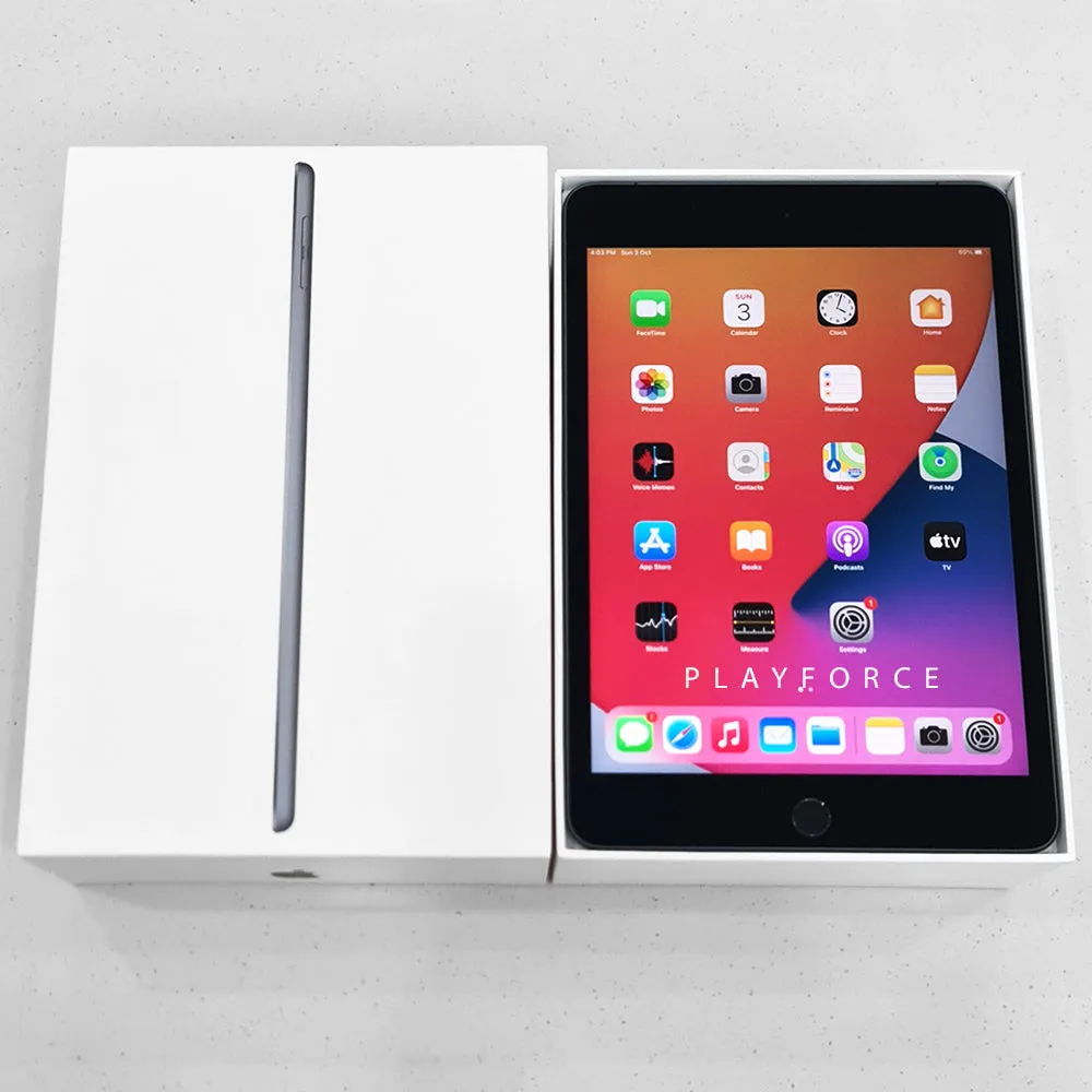 iPad Mini 5 (256GB, Cellular, Space Grey)