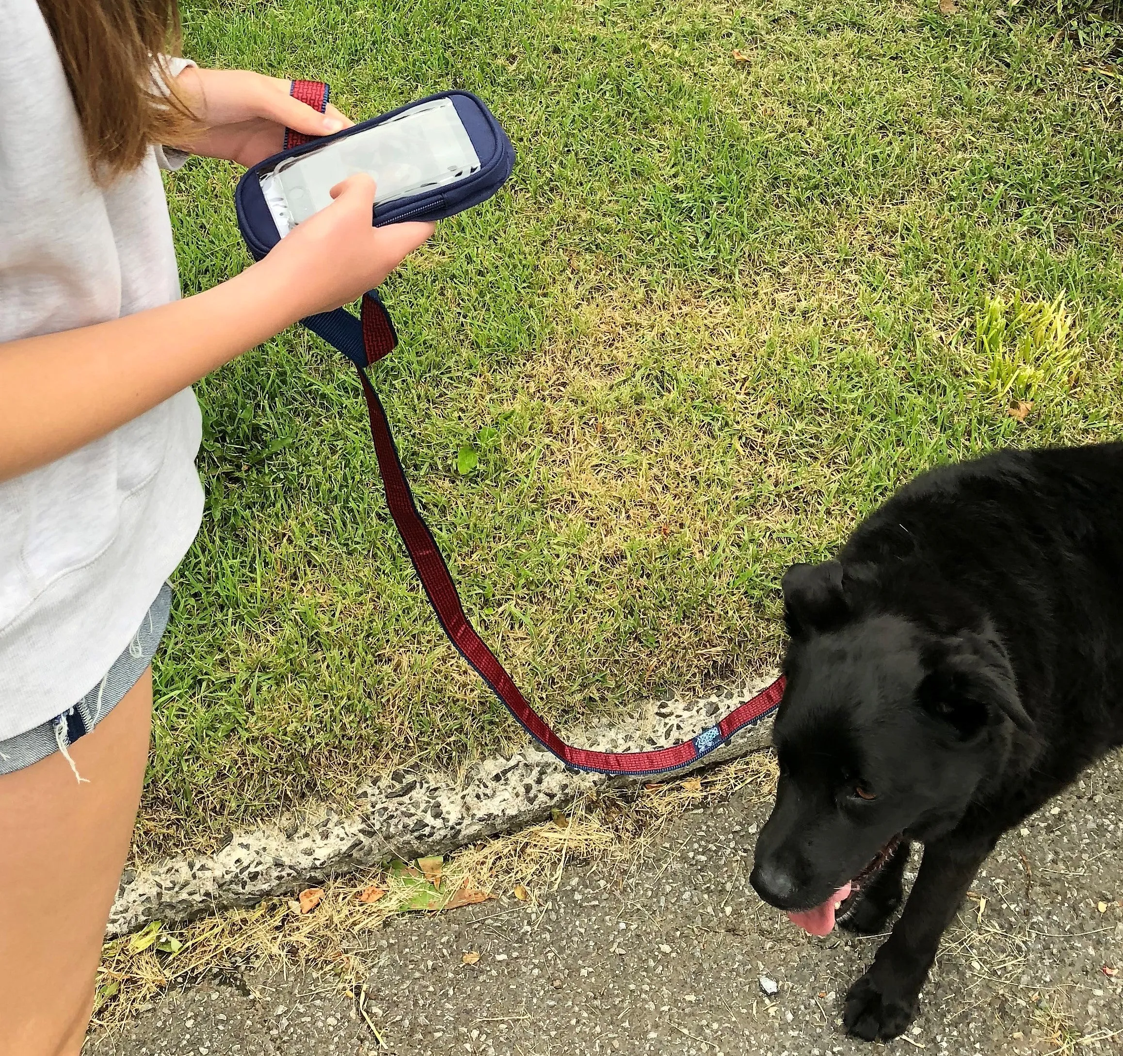 No-Pockets Leash - Durable Ribbon Leash with Waterproof Carrying Case