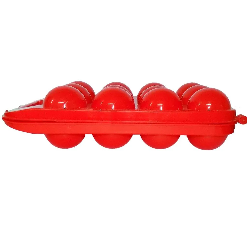 Plastic Egg Holder for Refrigerator Egg Tray with Lid, Kitchen Shockproof Plastic Egg Storage Container for Fridge, 12 Eggs Box