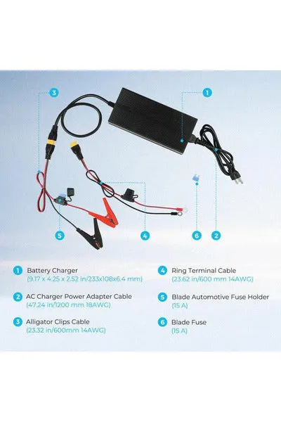 Renogy 24V 10A AC-to-DC LFP Portable Battery Charger