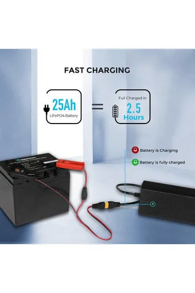 Renogy 24V 10A AC-to-DC LFP Portable Battery Charger