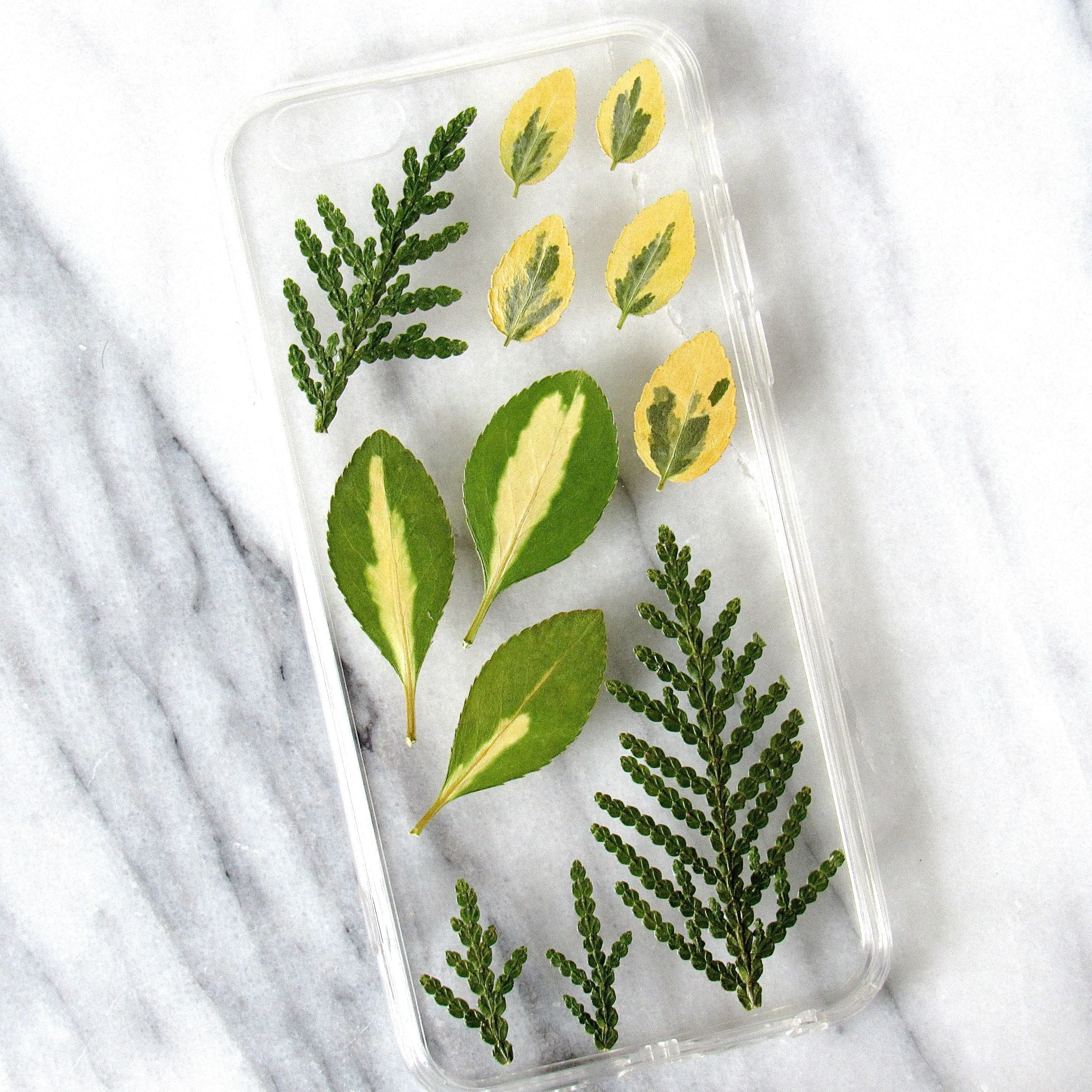 Viridi Silva Real Plant Case (iPhone 6/6s)