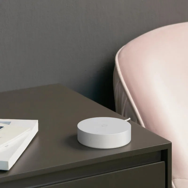 Xiaomi Smart Home Hub